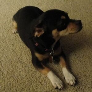 Meet your Posher, Vicky